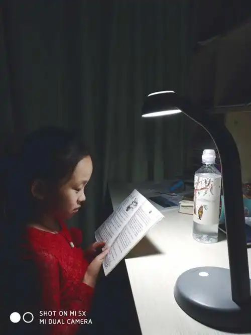 阅读是人类最美的姿态