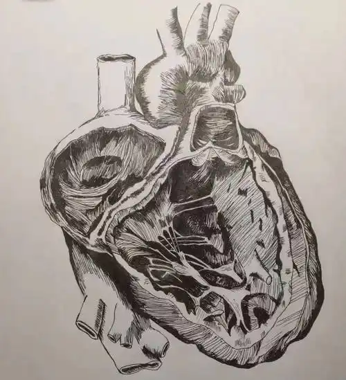 (儿科方向)本科生当李毓涵在组胚课上看到的运动终板切片的那一瞬间