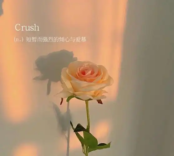 那些温柔到骨子里的背景图