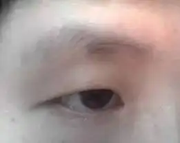 男人眉尾散的扫帚眉的面相分析,扫帚眉长什么样图片