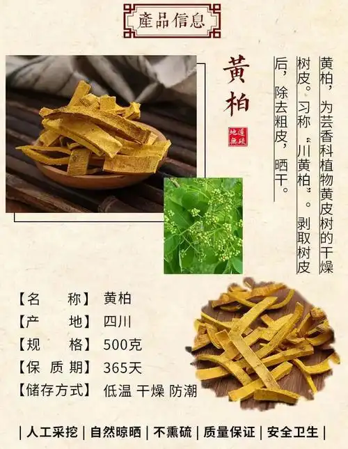 晗青堂黄柏中药材精选特级去皮黄柏野生川黄柏黄柏丝黄柏茶黄柏1000g