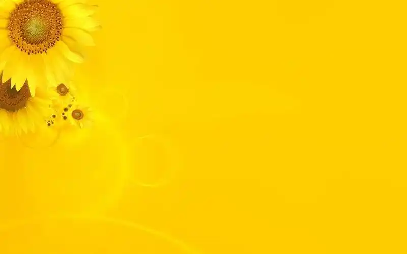 黄色背景图片橘黄色壁纸图片大全