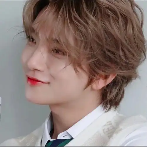 seventeen洪知秀头像