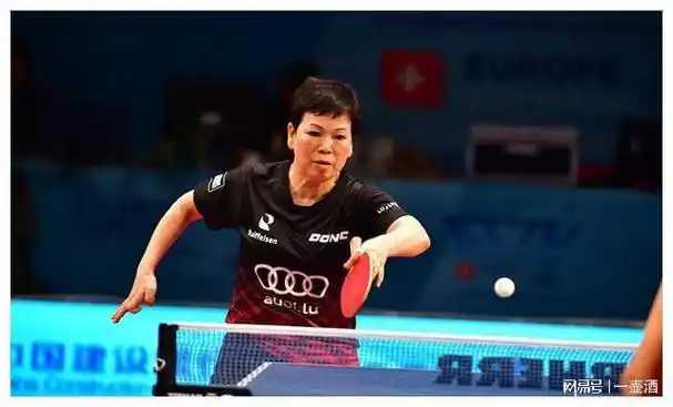 印度乒乓再创奇迹,夺两冠,惊艳收官|徐孝元|乒乓球|仁川冠军赛_网易