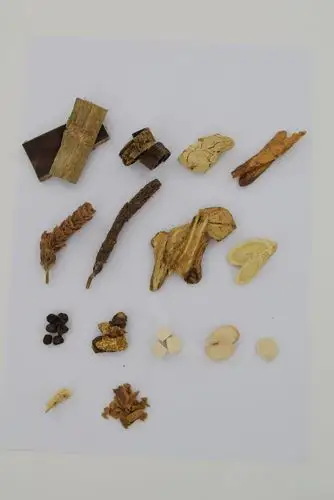 中医进,请问这些中药材名称_百度知道