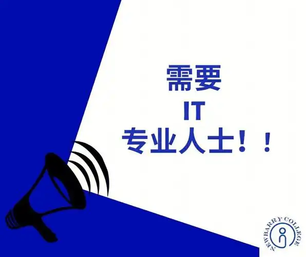 需要it专业人士