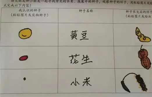 "我"和"种子"有个约会!潍坊市奎文区南苑幼儿园中班课程故事