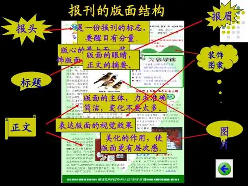 文档 所有分类 工程科技 电子/电路 制作电子报刊ppt 报刊的版面结构