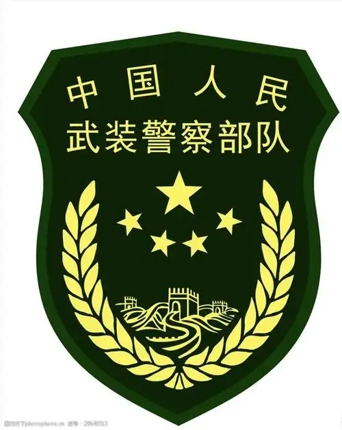 中国人民武装警察部队16式臂章