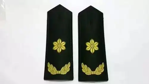 即为解放军 文工团,军乐团,仪仗队 肩章为古希腊乐器"里拉"外绕橄榄枝