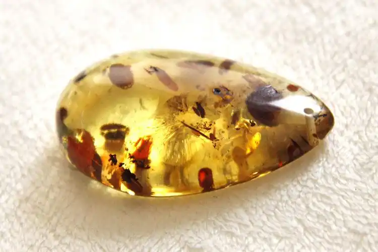 "人造"琥珀,让每个孩子留下科学的足迹