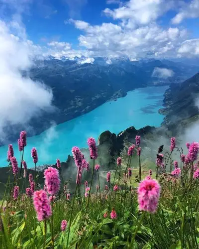 风景-堆糖,美好生活研究所