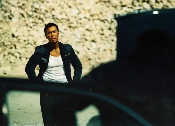 导火索你喜欢影片中甄子丹的暴力美学吗