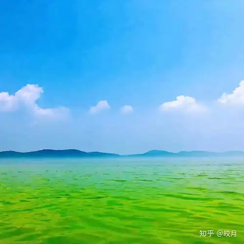 你用过哪些有趣或有意义的微信朋友圈背景图