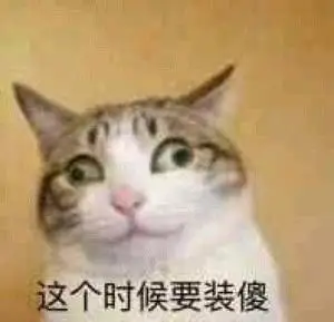 这个时候要装傻_装傻_时候_这个表情