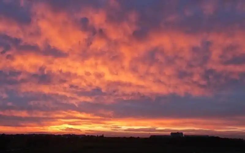 好久没有看到这么漂亮的夕阳了95