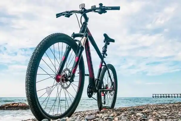 自行车是一种人力驱动的交通工具,由车架,车轮,车把,车座,链条,刹车器