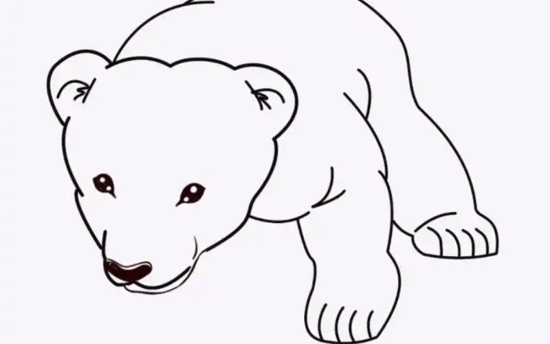 有手就行 画画大狗熊