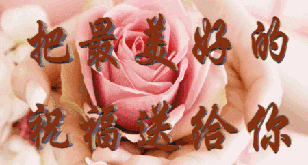 450_242gif 动态图 动图