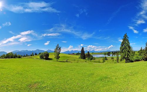 护眼绿色草原风景电脑桌面主题壁纸(一)高清大图预览1920x1200_设计