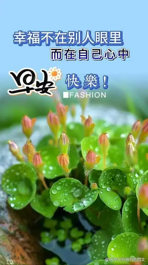 5月5日早安的暖心句子,周末早上好温馨问候语图片,愿