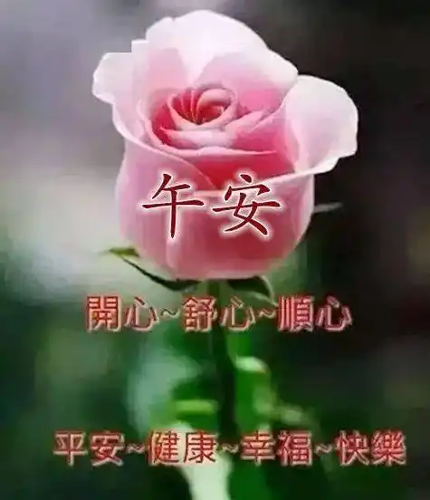 午安语录励志正能量图片带字中午好暖心问候祝福语