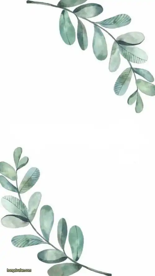 带有超大卡通叶子边框的空白纸张背景图片