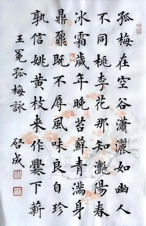 楷书作品欣赏:梅花诗词30幅