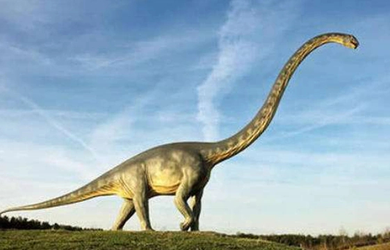 梁龙的资料谁知道