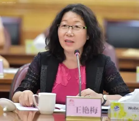 王艳梅      深圳市南山科技事务所所长