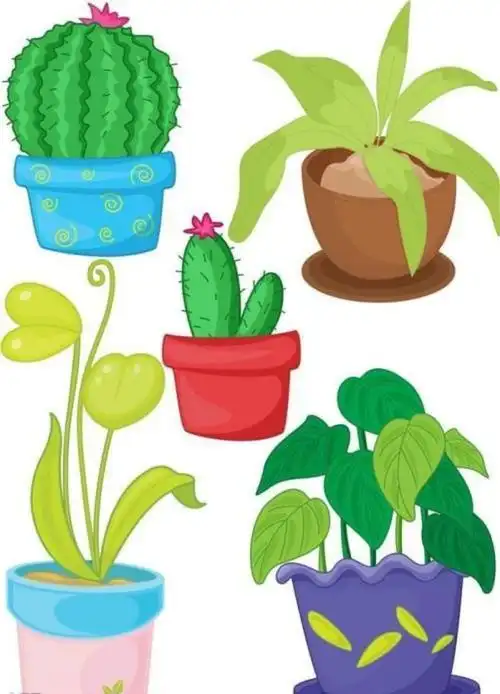 中一班植物角观察小日记我左看右看,上看下看,每一个植物都能喝水