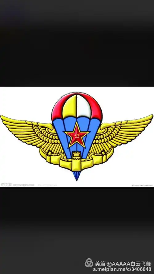 同属于一个标志-空降兵伞标