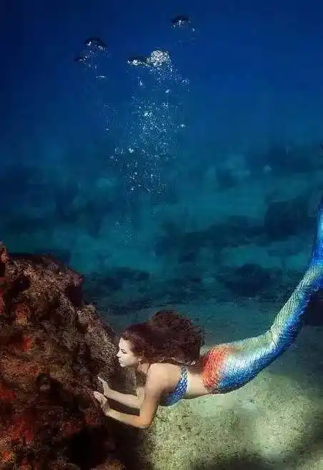 美轮美奂美人鱼_中国_照片_赵丽颖