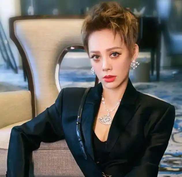 演员宁静:嫁给外国老公,生下1子后离婚,后遇姐弟恋同样无果