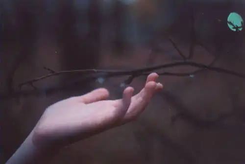 有关手的唯美图片大全2