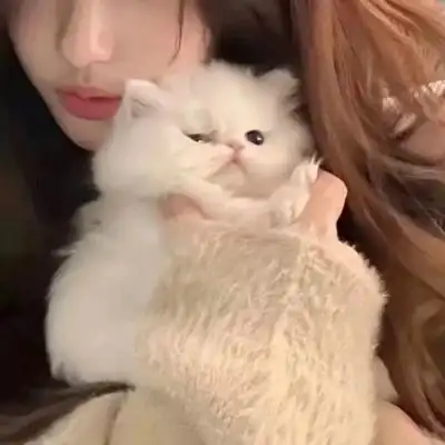 抱猫真人情头 ks诉凂_情侣头像_我要个性网