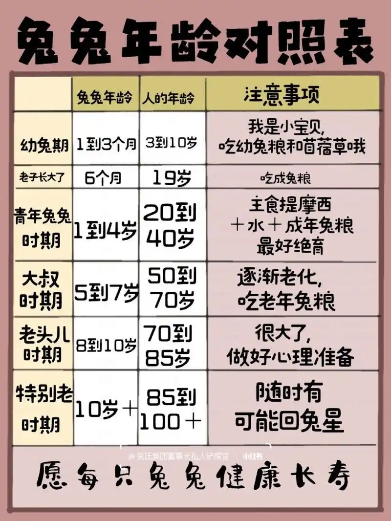 兔兔年龄对照表 兔子年龄表,这个就是根据兔子的年龄来对人类的年龄