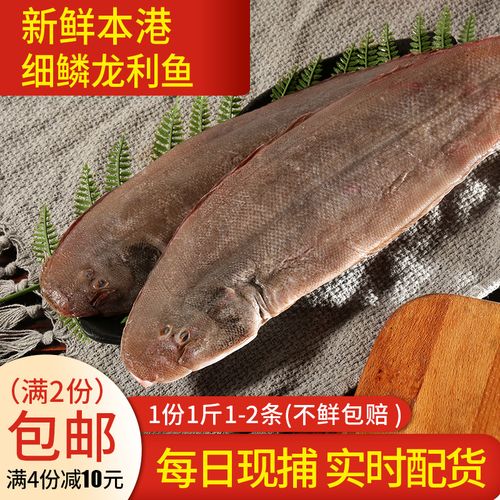 渔民的孩子每日现捕新鲜活福建海鲜水产本港细鳞大龙利龙舌踏板鱼