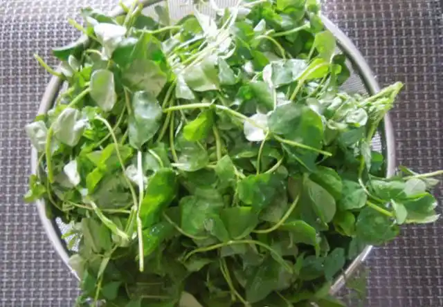 择净的草头冲洗干净,备用