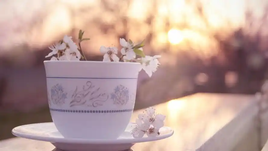 阳光午后美丽下午茶桌面壁纸图片下载