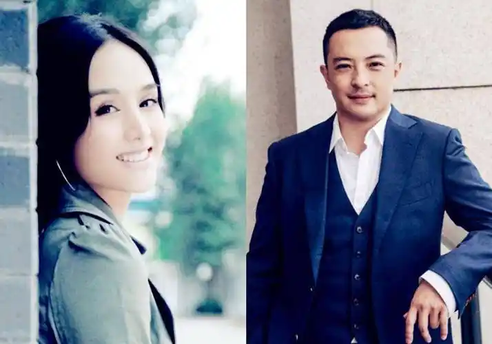 她与高云翔合作主演了海岩剧《新玉观音》,饶敏莉靠着女主角安心一角