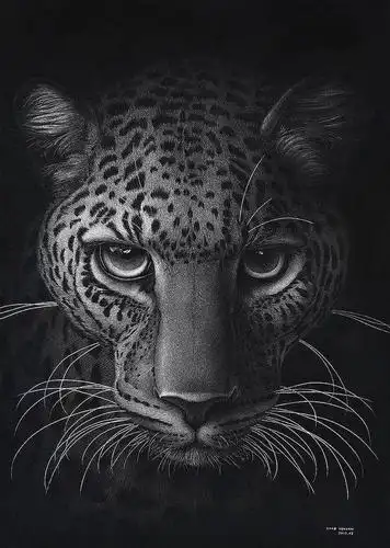 细致入微的超现实素描作品比照片还要逼真