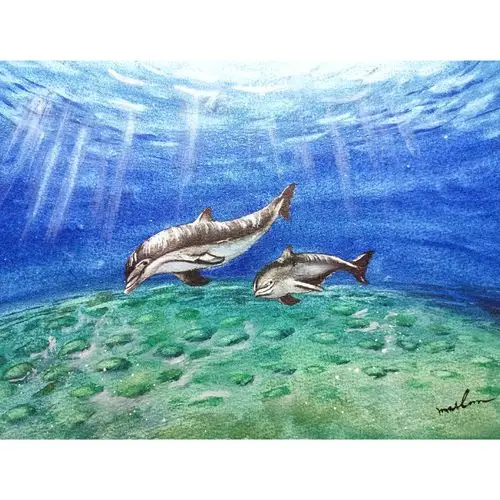 水彩 | 两只海豚98