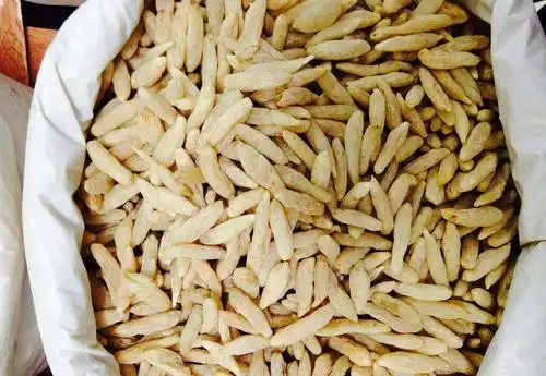 《本草纲目》里详细记载了天冬的主治:肺气逆咳,喘息促急,肺萎生痈