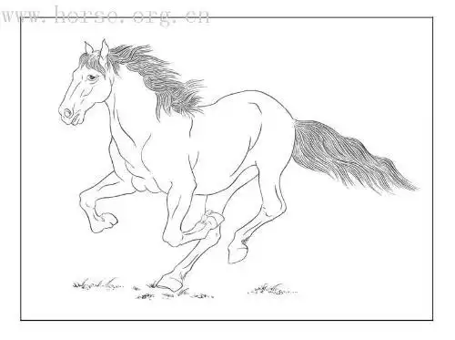 急求白描八骏图