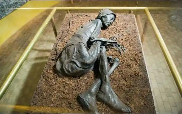 那么它们或许会把我们复原成类似于孙悟空的生物