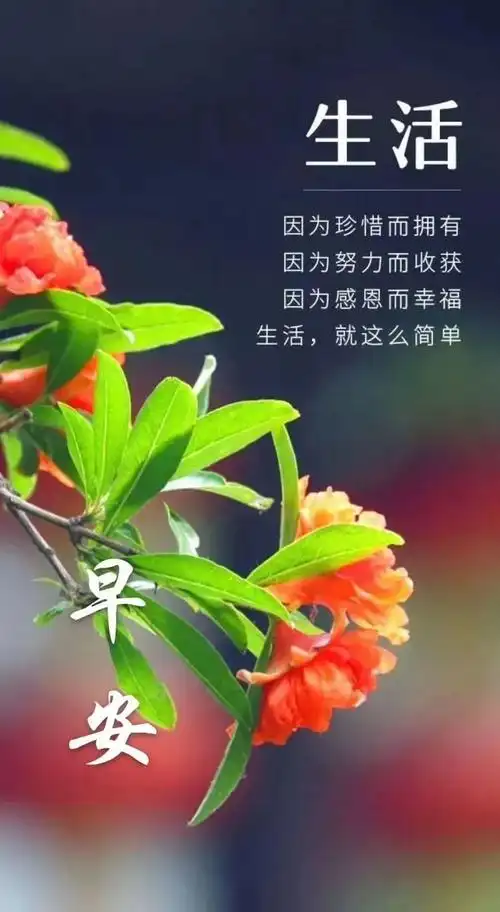春天早上好问候祝福动画表情图片 3月最新清晨问候祝福语动态图片表情