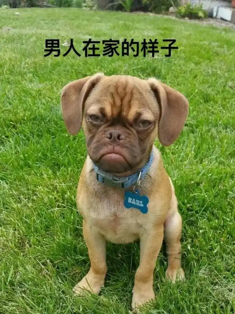 搞笑 #搞笑图片 #沙雕 有没有对号入座的 - 抖音