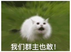 "我们群主敢吃shi!" "我不敢!