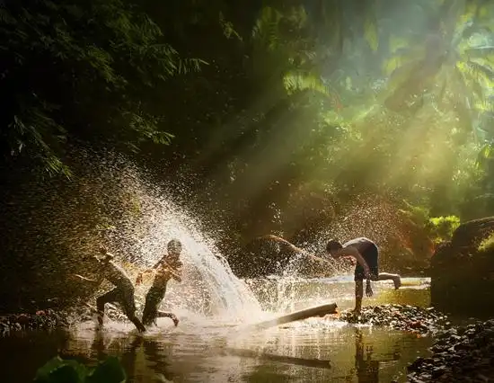 也曾在小河里戏水